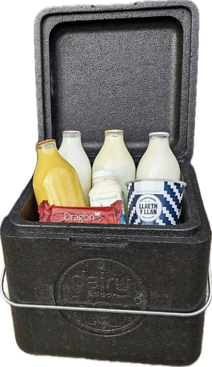 Cool box with milk bottles and dairy products